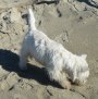 Aus Strandgut gebaut